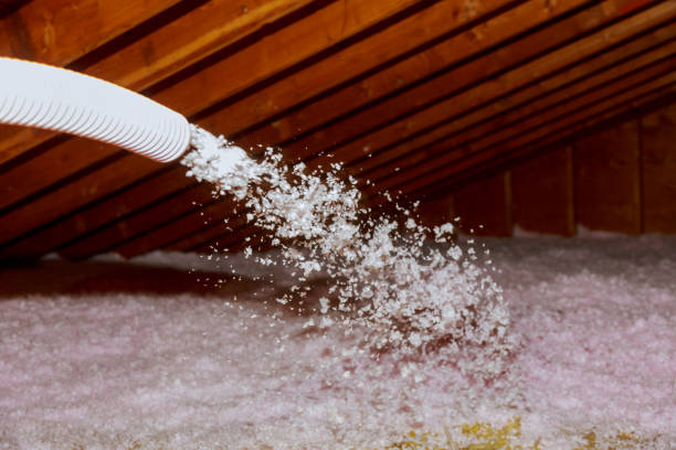 Best Cellulose Insulation  in Laurium, MI