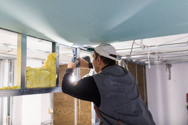 Best Insulation Removal  in Laurium, MI